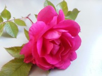 /album/photogallery/a2013-09-22-17-35-07-jpg/